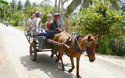 La voiture hippomobile transporte les visiteurs dans la route du village